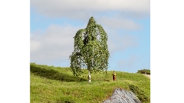 NOCH 20121 - Hängebirke, 12 cm